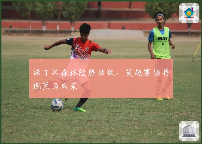 诺丁汉森林险胜劲敌，英超赛场再现黑马风采