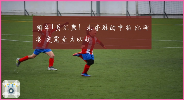 明年1月汇聚！未夺冠的申花 比海港 更需全力以赴